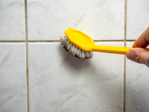 Mold Removal and Inspection in Kinnelon, NJ