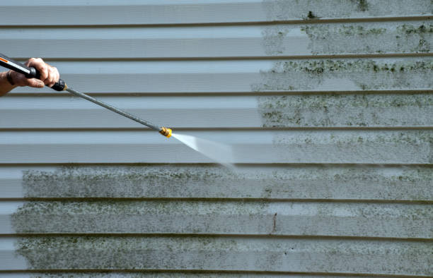 Best Attic Mold Removal  in Kinnelon, NJ
